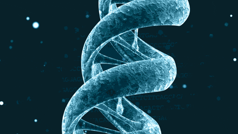 Human body DNA